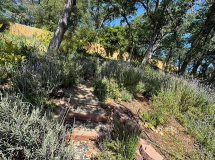 118 Hillswood, Folsom, CA 95630 Photo