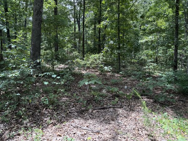 000 State Hwy. 76 , Cape Fair, MO 65624