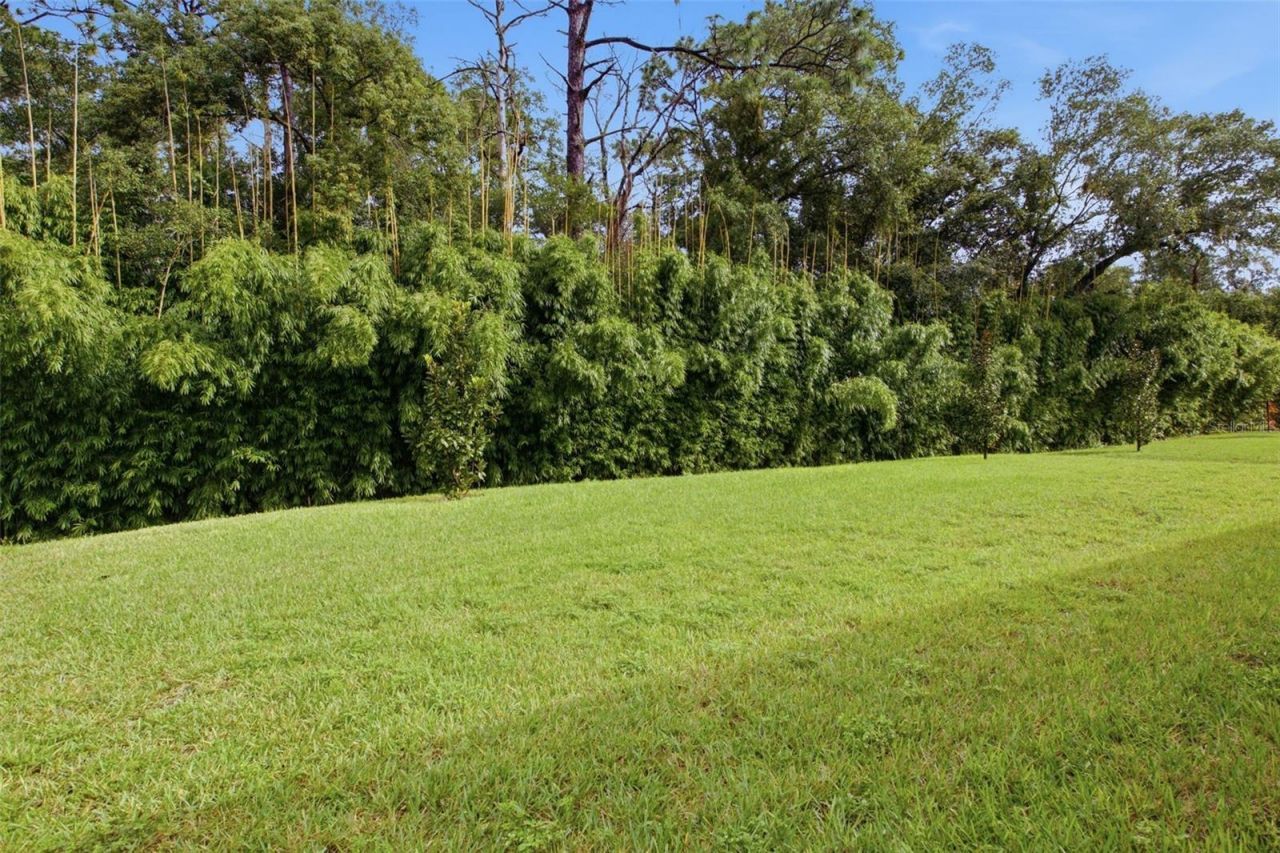 344 Ambersweet Place, Lake Mary, FL 32746 Photo