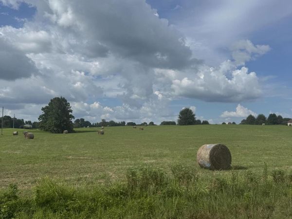 0 Gordon Road , Dyersburg, TN 38024