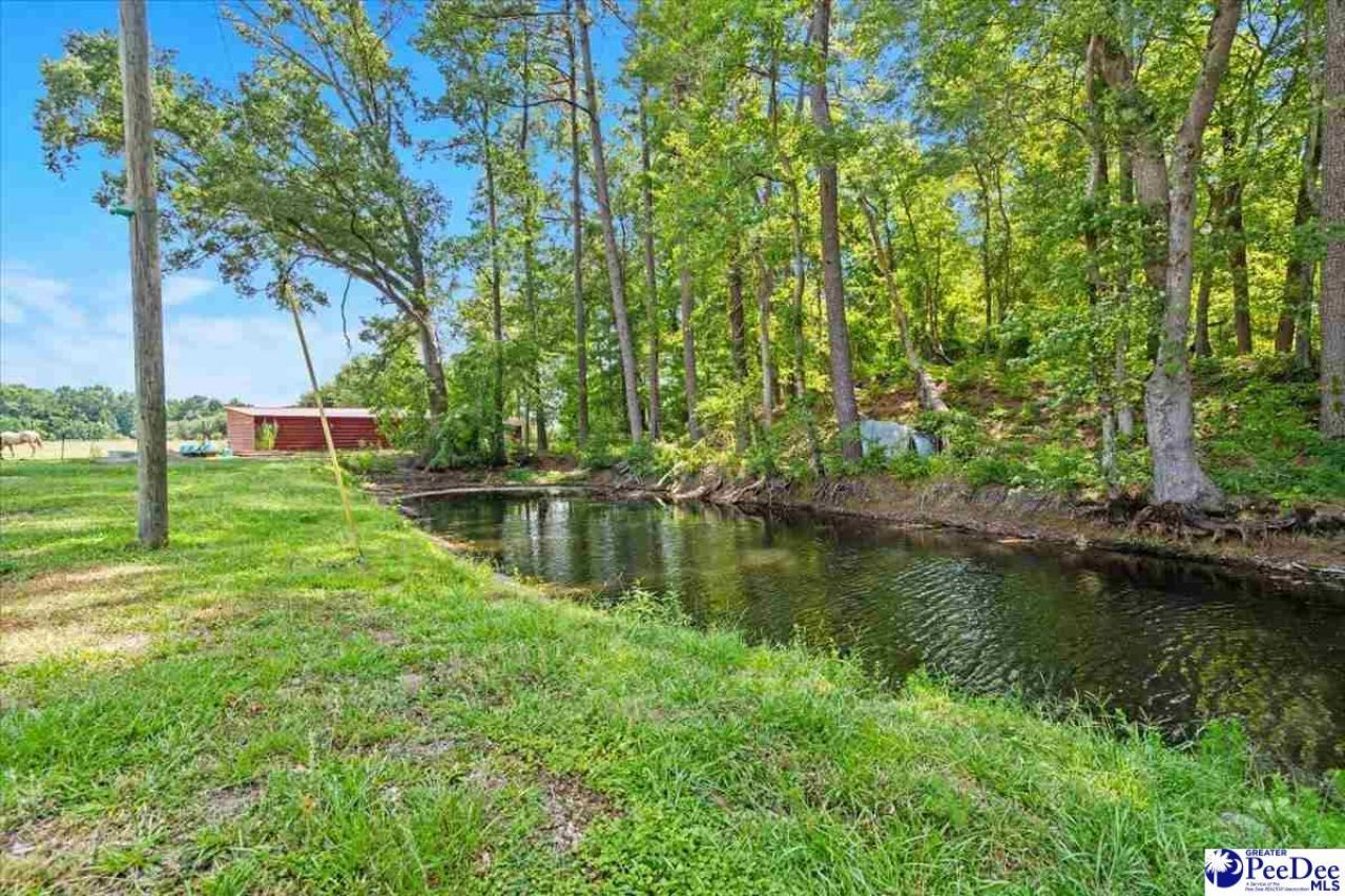 721 E Lydia Hwy Photo 39