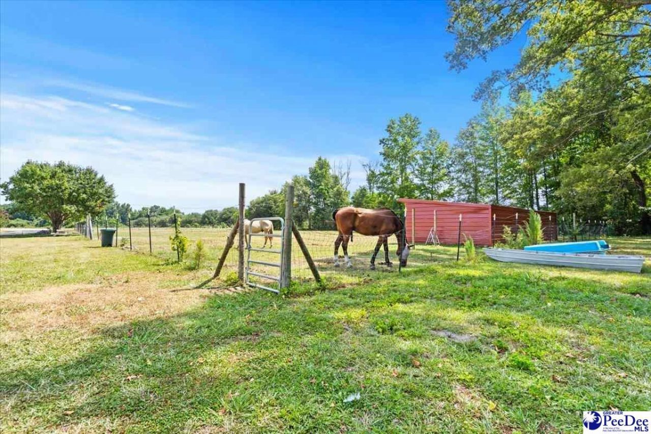 721 E Lydia Hwy Photo 40