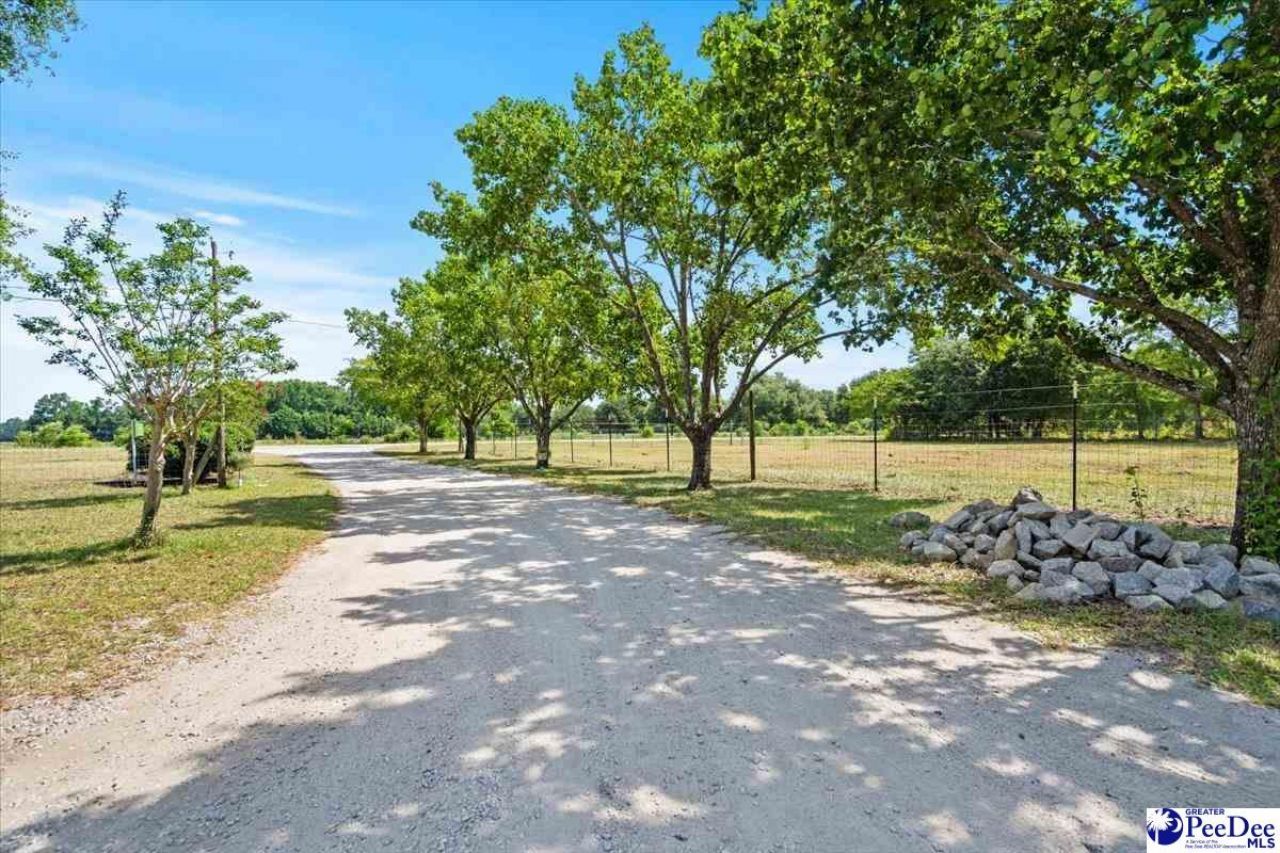 721 E Lydia Hwy Photo 41