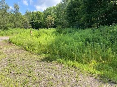 2212 Kypriotis Drive , Cortland, NY 13045