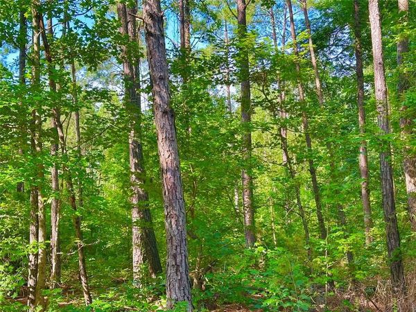 00 Hwy 808 , Haynesville, LA 71038