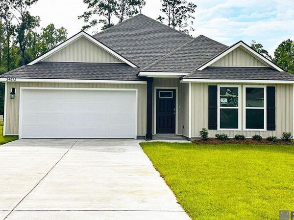 24692 Berry Ridge Lane, Springfield, LA 70462
