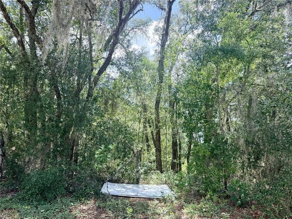 7932 N ELKCAM BOULEVARD , CITRUS SPRINGS, FL 34433