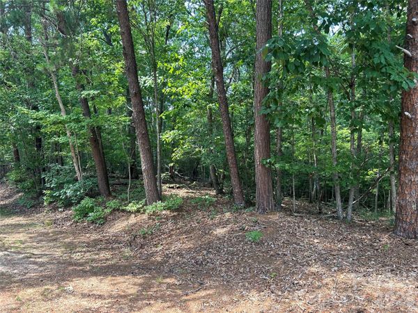 111 Peach Drive, Troy, NC 27371