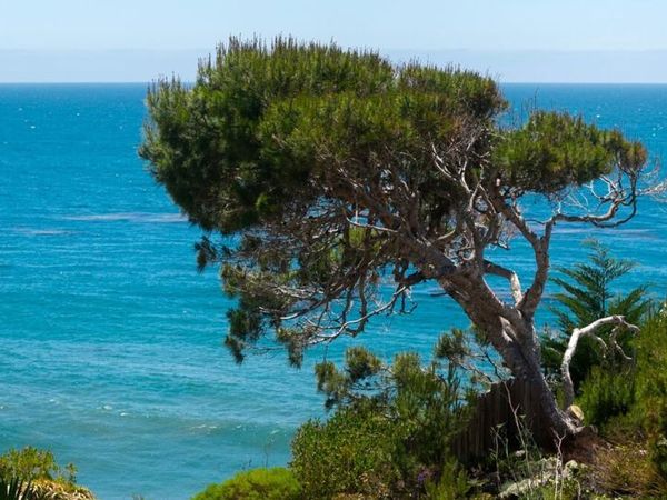 31970 Pacific Coast Highway , Malibu, CA 90265