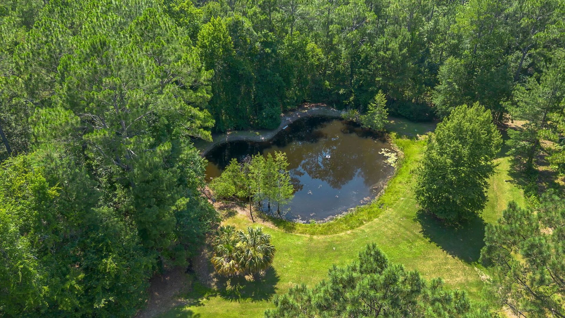 805 Frances Drive , Havana, FL 32333 Photo