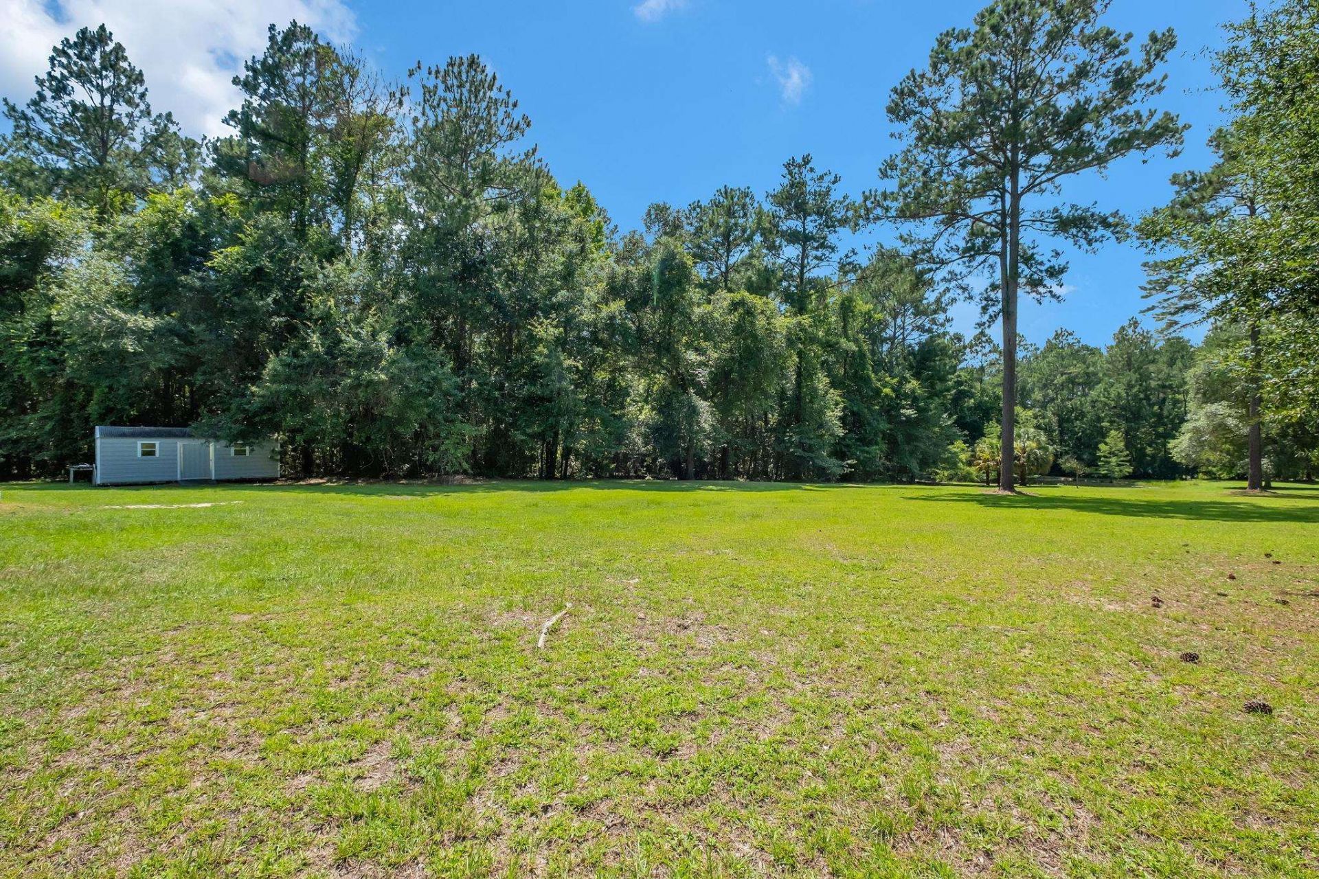 805 Frances Drive , Havana, FL 32333 Photo