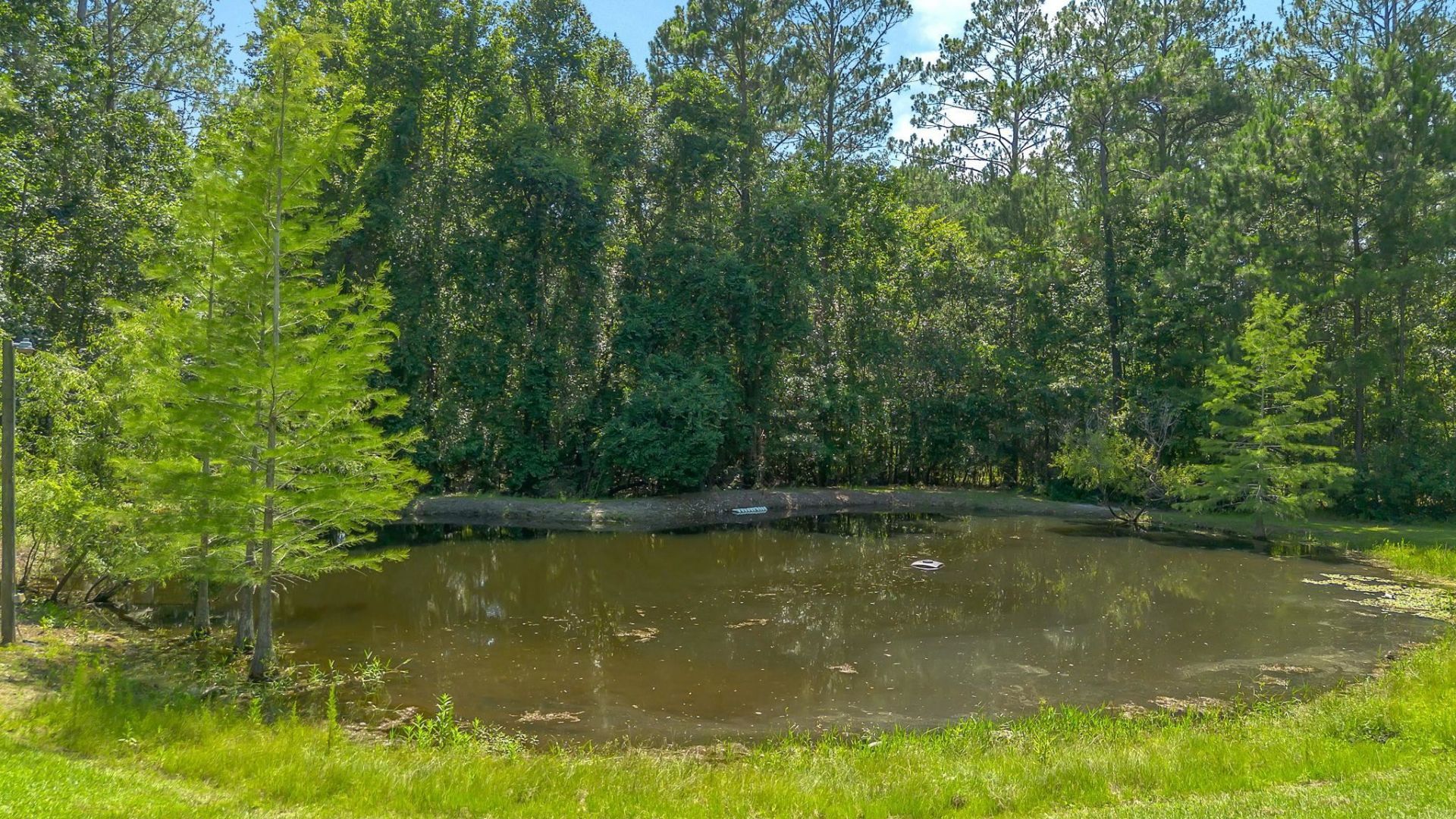 805 Frances Drive , Havana, FL 32333 Photo