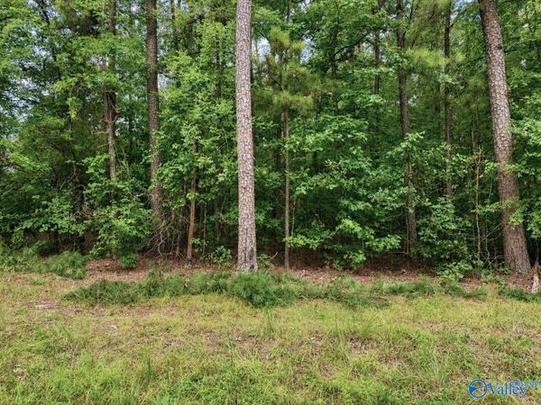 Lot 80 County Road 608, Cedar Bluff, AL 35959