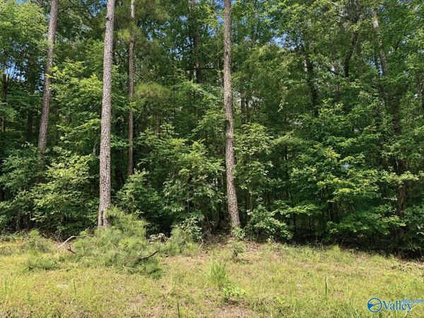Lot 81 County Road 608, Cedar Bluff, AL 35959