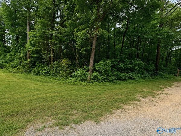 Lot 36 County Road 683, Cedar Bluff, AL 35959