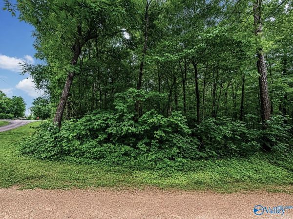 Lot 37 County Road 683, Cedar Bluff, AL 35959