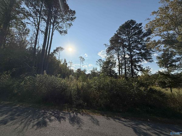 1.46 Acres 2nd Avenue, Altoona, AL 35952