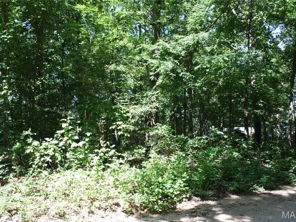 00 Lakview Drive , Wappapello, MO 63966