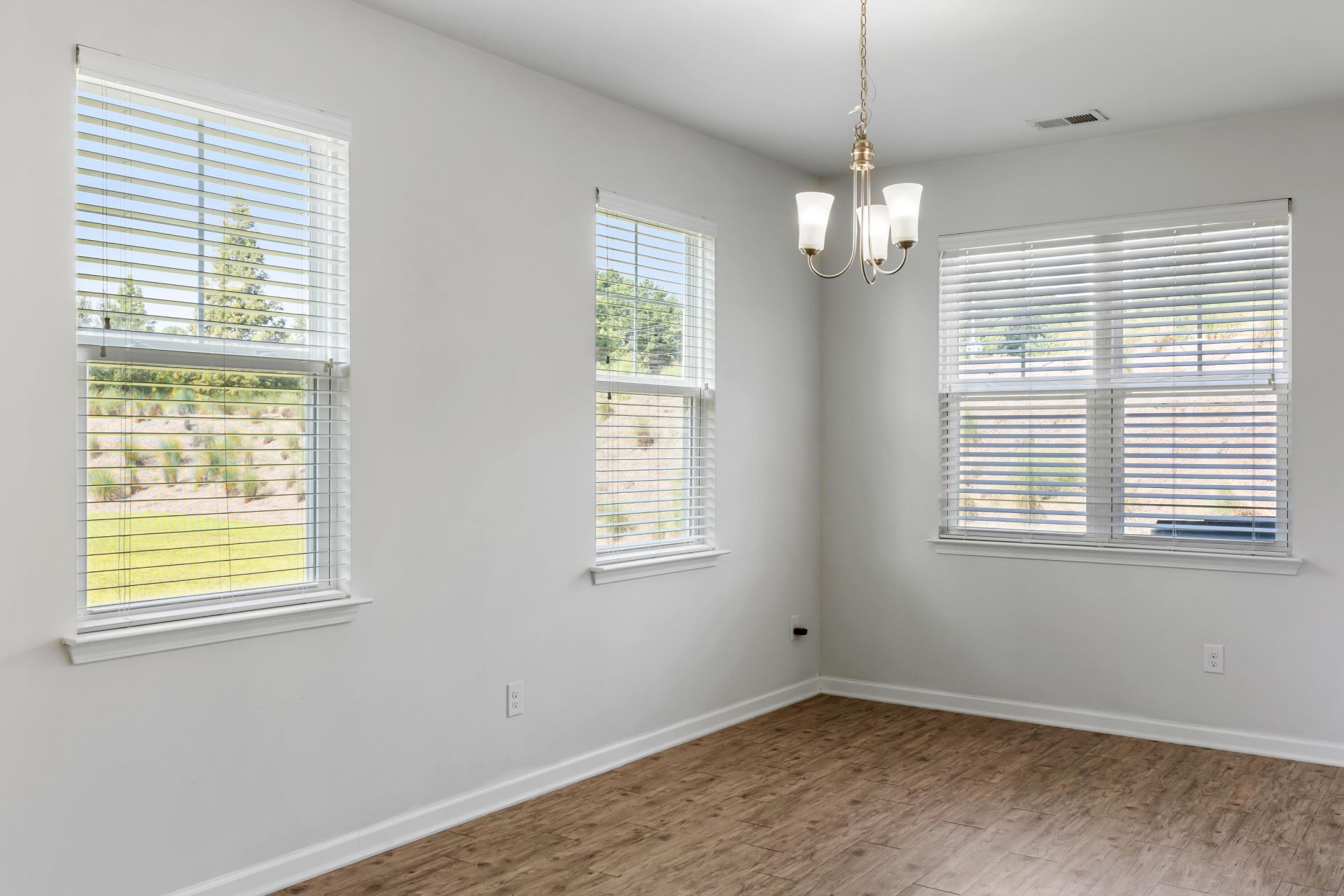 121 Wild Holly Drive Photo 10