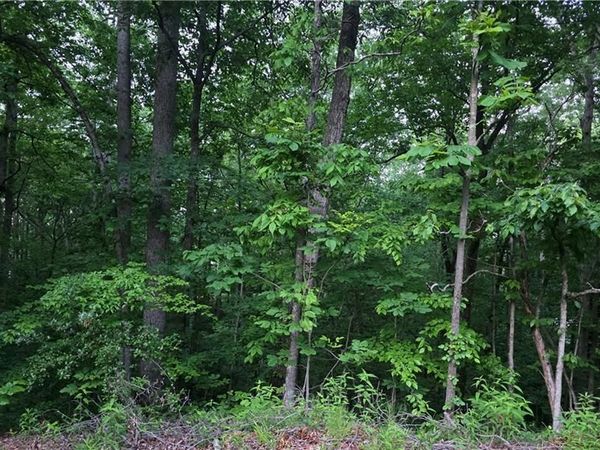 0 Old Mckaskey Creek Road SE, Cartersville, GA 30121