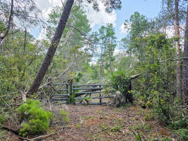 340 SAND PINE PLACE , GENEVA, FL 32732