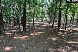 110 John Long Road  photo 4