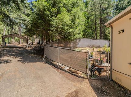 25824 Meadow Dr, Pioneer, CA 95666 Photo