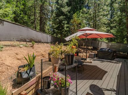 25824 Meadow Dr, Pioneer, CA 95666 Photo
