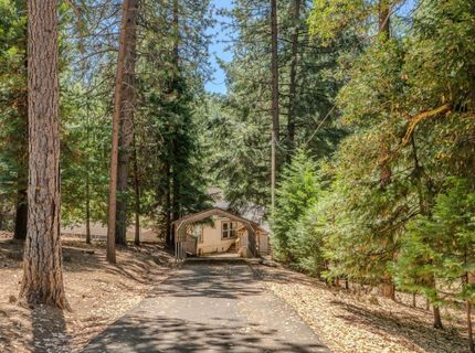 25824 Meadow Dr, Pioneer, CA 95666 Photo