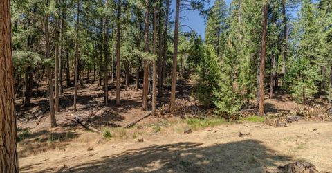 25824 Meadow Dr, Pioneer, CA 95666 Photo