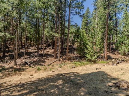 25824 Meadow Dr, Pioneer, CA 95666 Photo