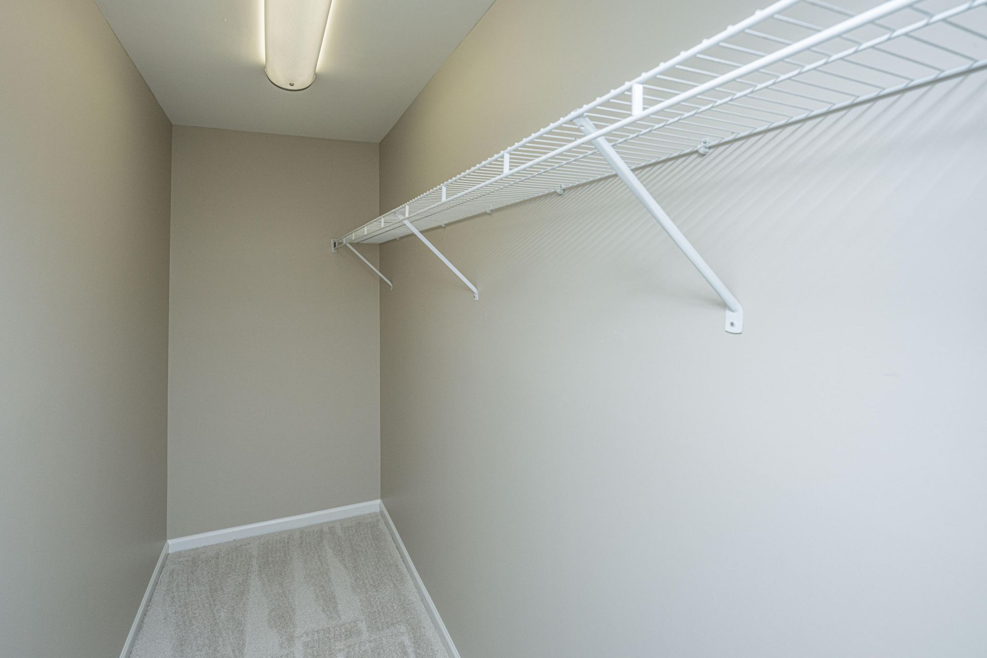 1404 Buckthorn Circle Photo 18