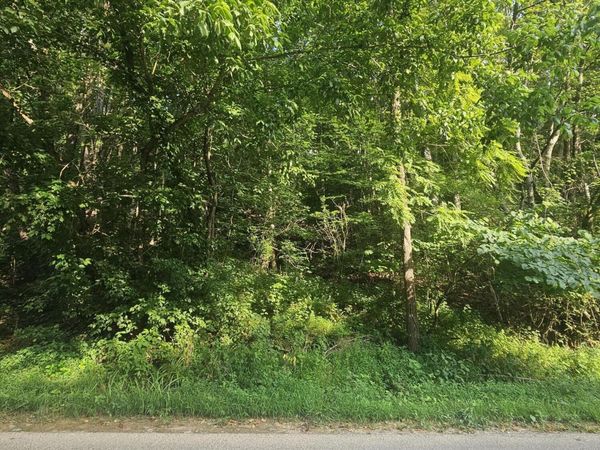 00 Crusenberry Road, Saltville, VA 24370