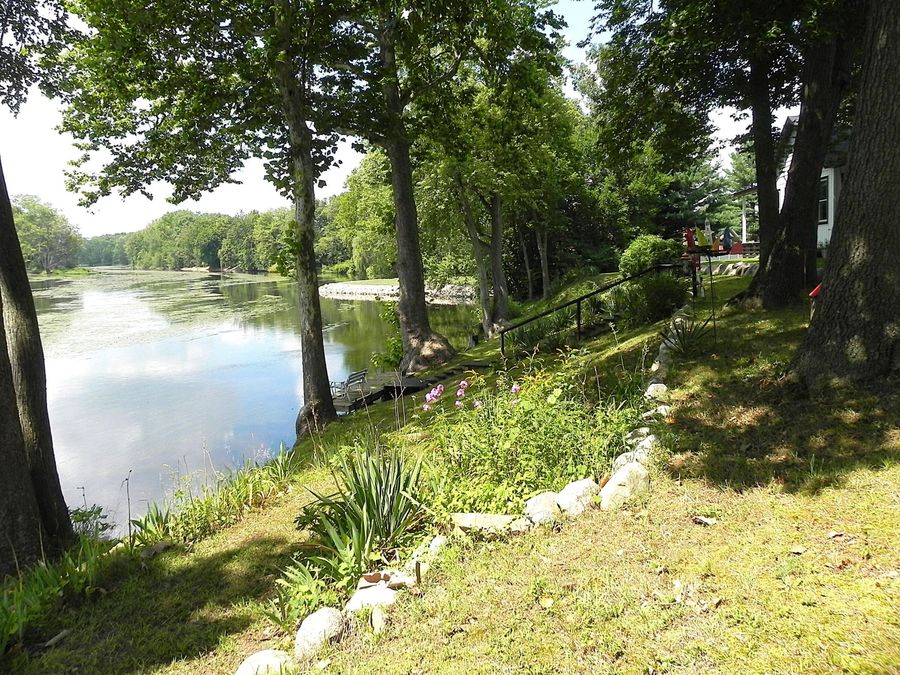 Property Image 45