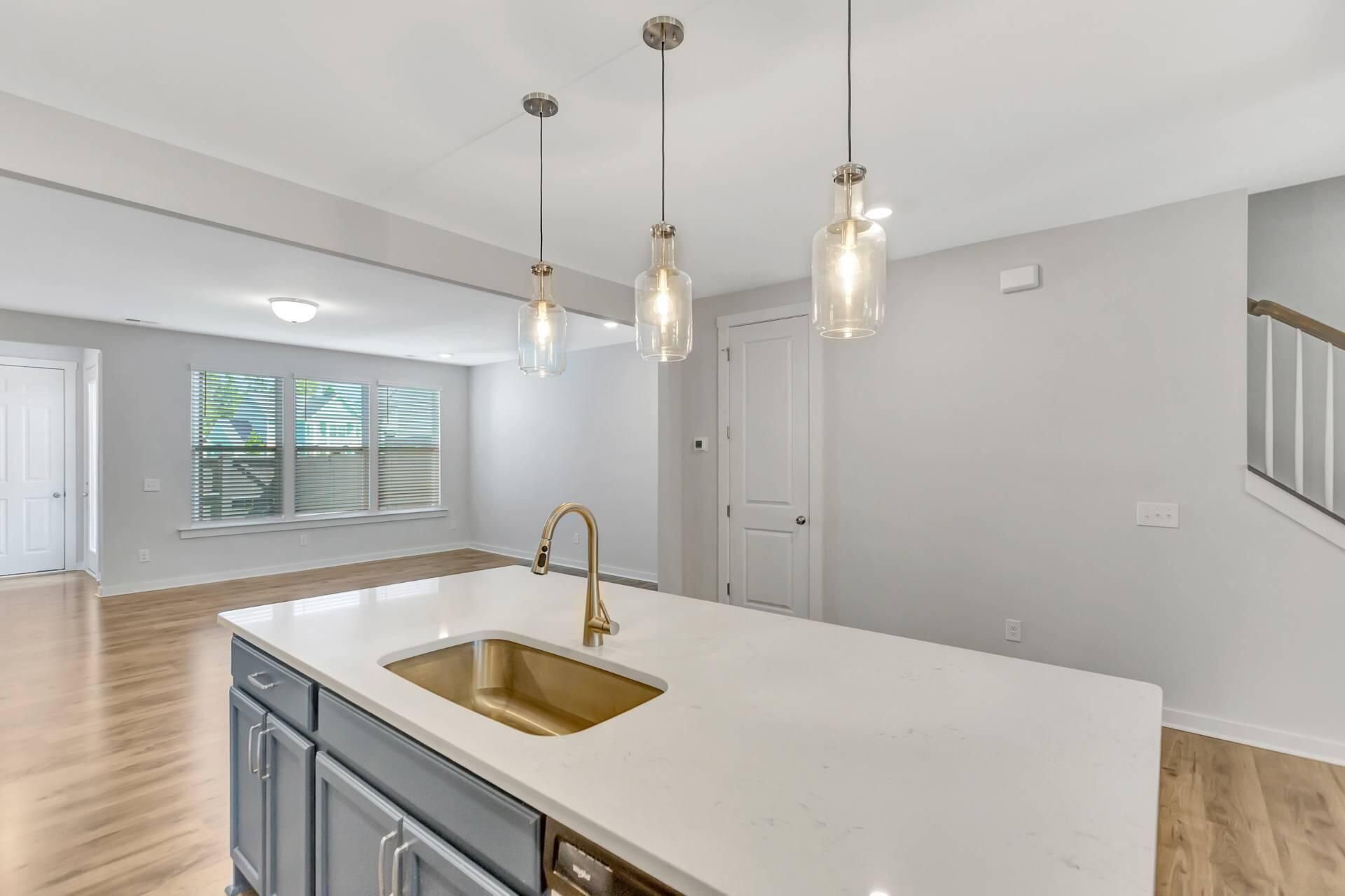113 Summer Tanager Drive Photo 11