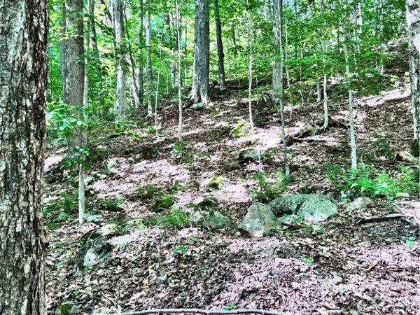 Oneida Road , Old Forge, NY 13420
