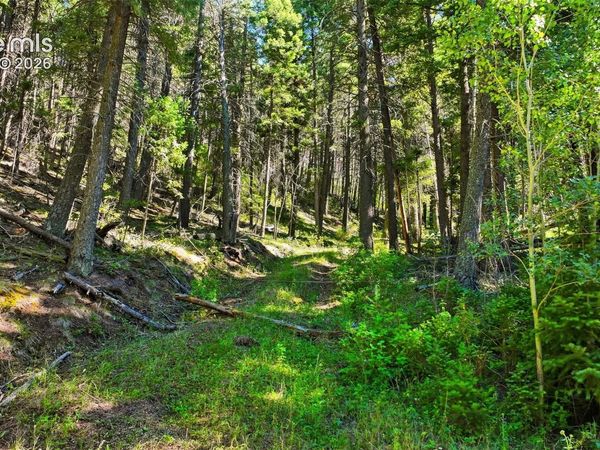 13446 S Firedog Way, Larkspur, CO 80118