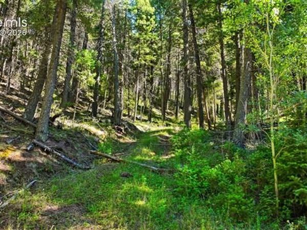 13446 S Firedog Way, Larkspur, CO 80118