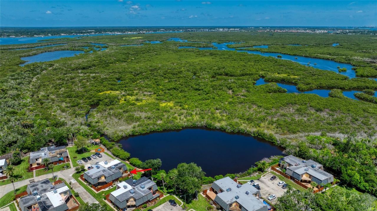 145 Cedar Dunes Drive, New Smyrna Beach, FL 32169 Photo