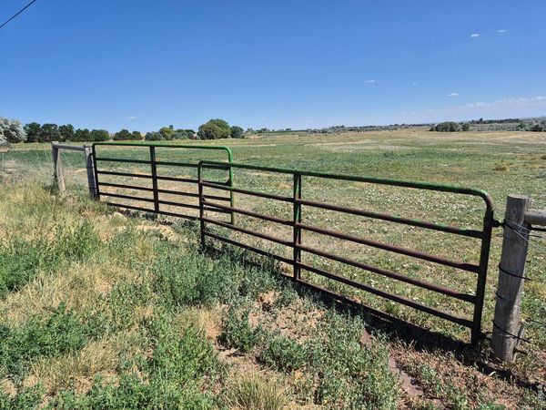 9140 County Road 54, Milliken, CO 80543
