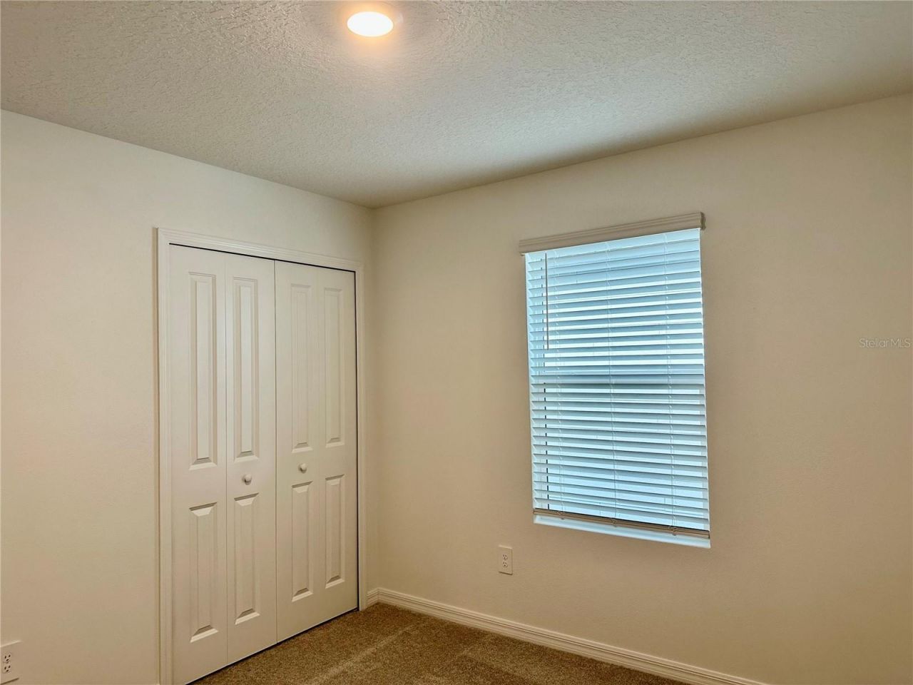 8842 Dusty Lane , New Port Richey, FL 34655 Photo