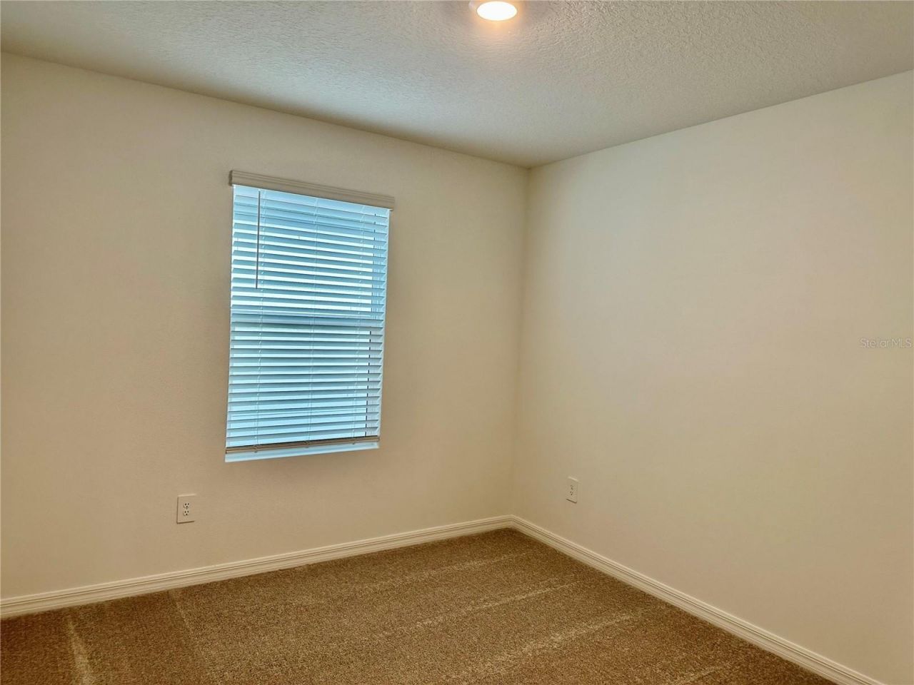 8842 Dusty Lane , New Port Richey, FL 34655 Photo
