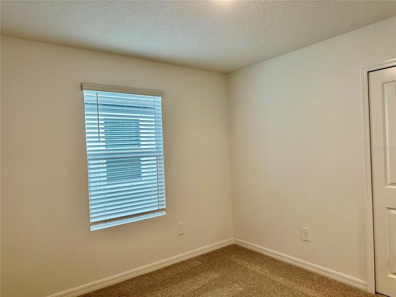 8842 Dusty Lane , New Port Richey, FL 34655 Photo