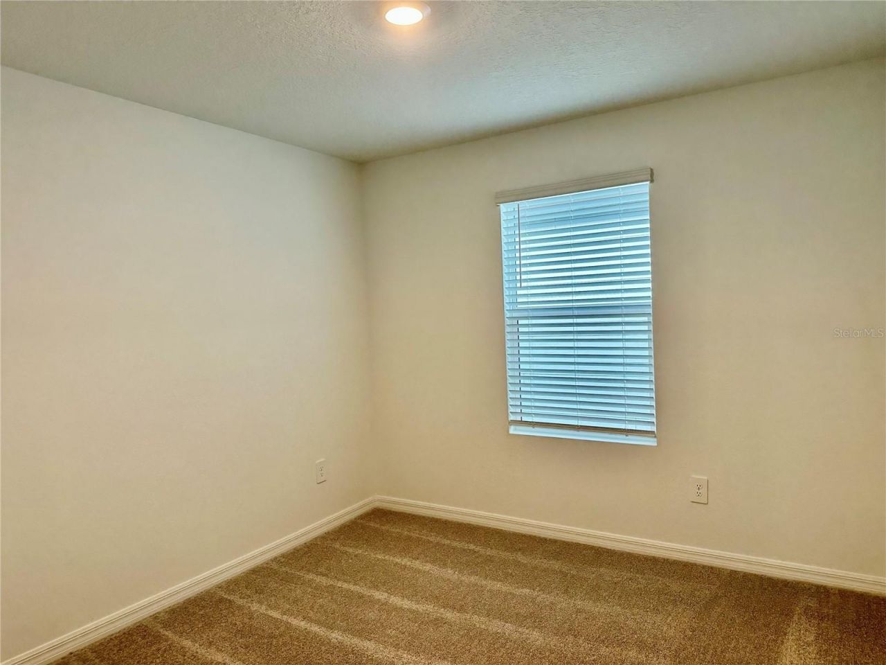 8842 Dusty Lane , New Port Richey, FL 34655 Photo