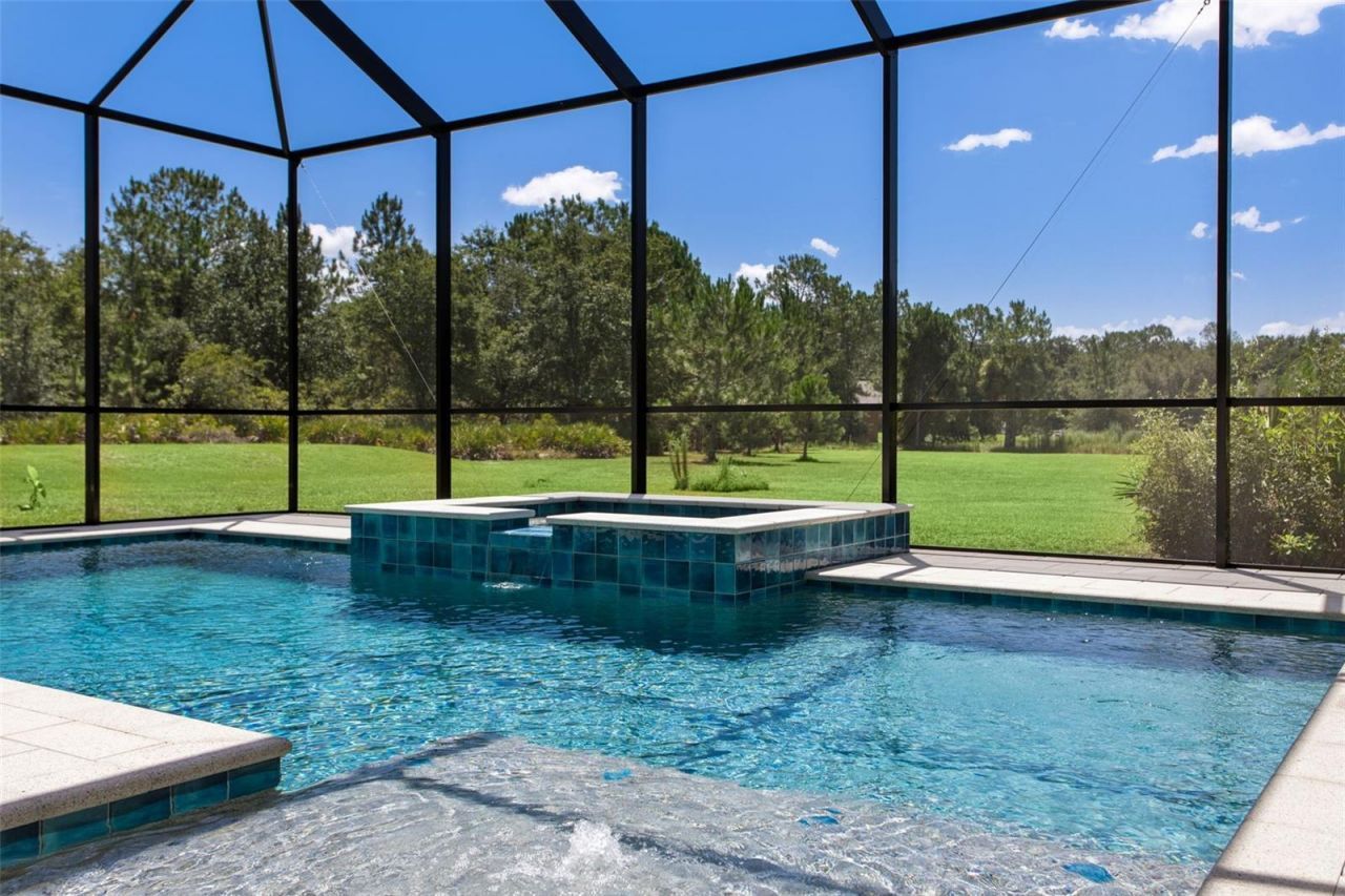 8408 Woodleaf Boulevard, Wesley Chapel, FL 33544 Photo