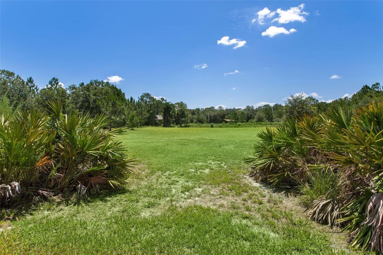 8408 Woodleaf Boulevard, Wesley Chapel, FL 33544 Photo