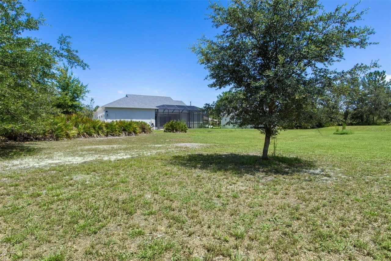 8408 Woodleaf Boulevard, Wesley Chapel, FL 33544 Photo