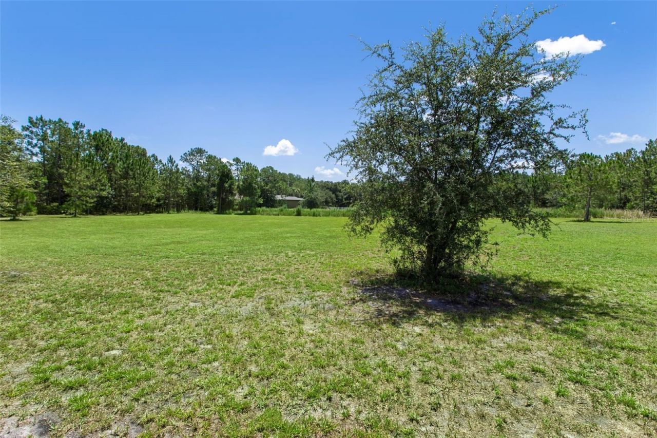 8408 Woodleaf Boulevard, Wesley Chapel, FL 33544 Photo