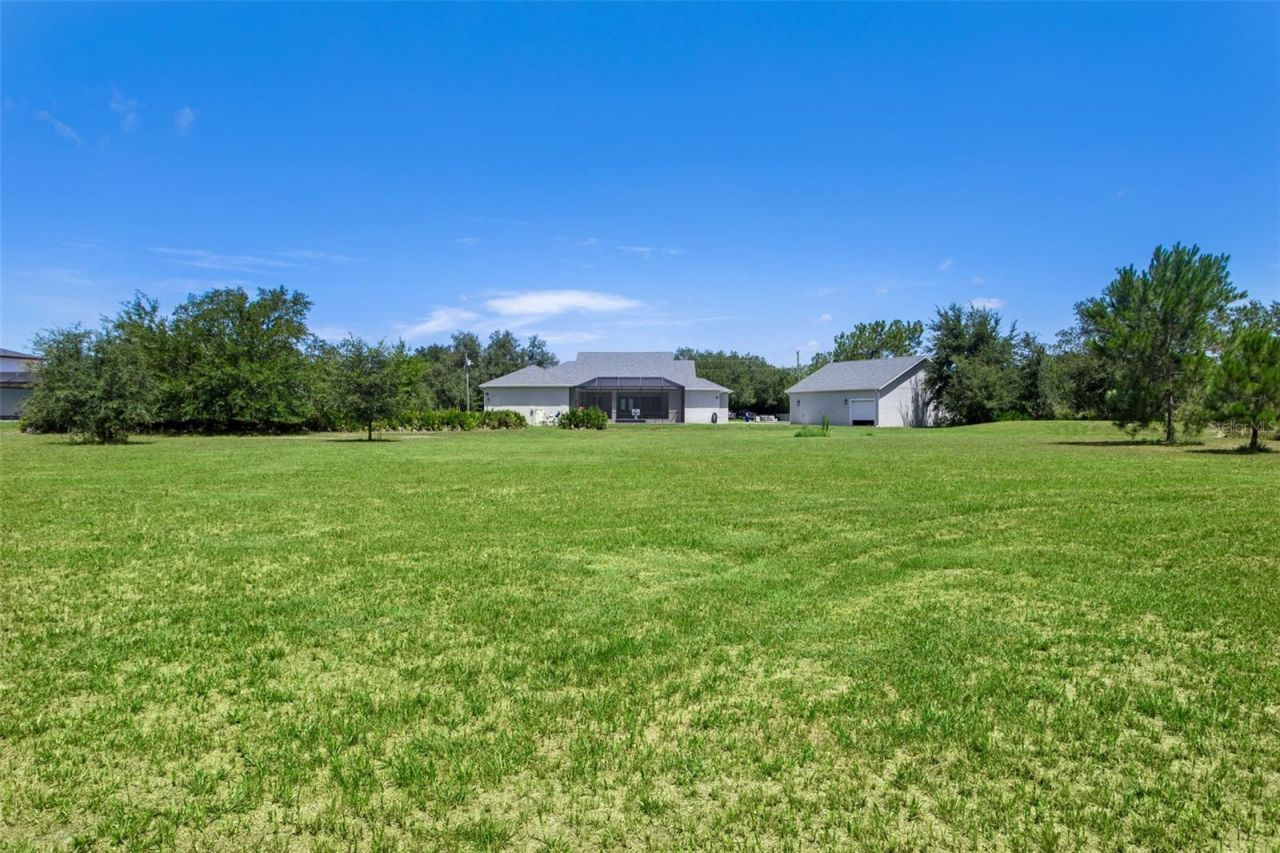 8408 Woodleaf Boulevard, Wesley Chapel, FL 33544 Photo