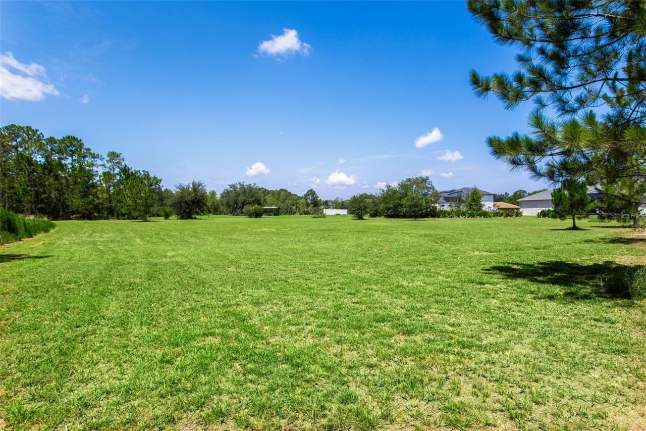 8408 Woodleaf Boulevard, Wesley Chapel, FL 33544 Photo